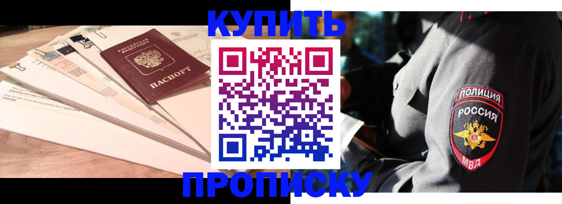 прописка поиск в Ногинске