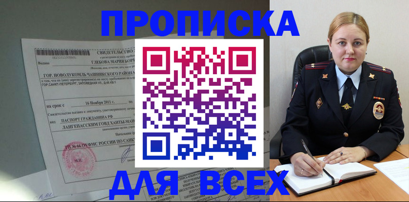 прописка поиск в Ногинске